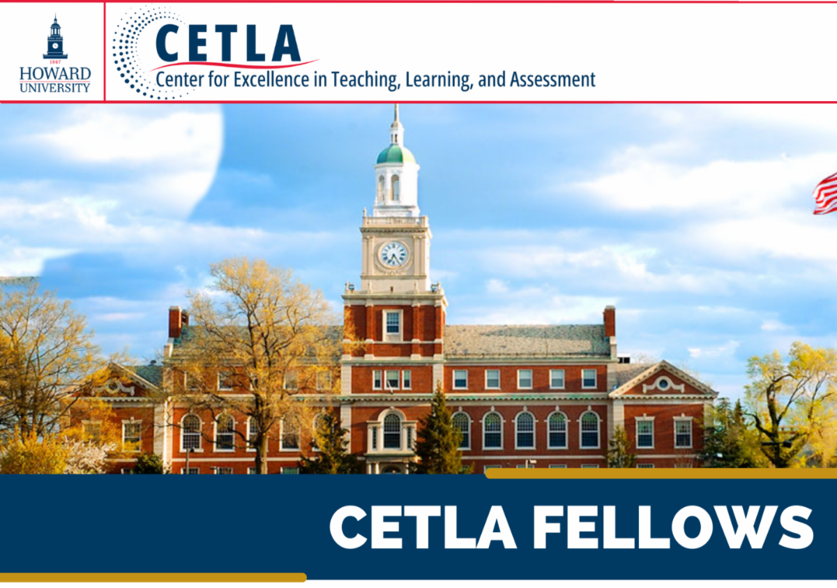 Image of CETLA Fellows image