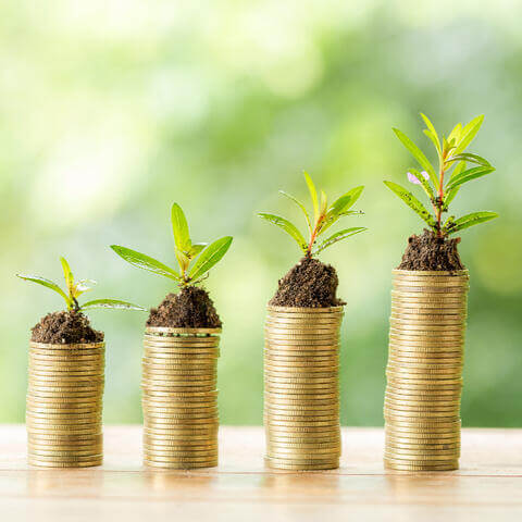 Plants on top of stacked coins on a table